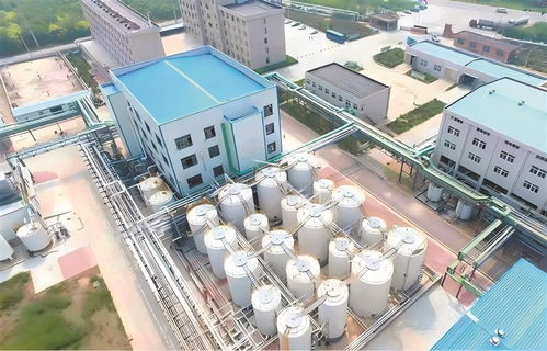 高青 以工業技改驅動引擎，加速企業轉型升級與高質量發展