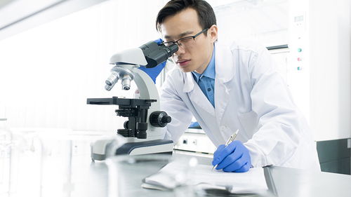 玩具檢測認證 構筑安全防線，驅動行業高質量發展